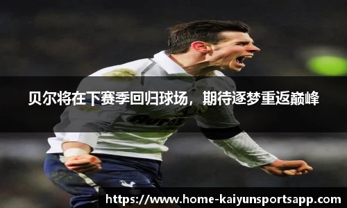 开云体育app